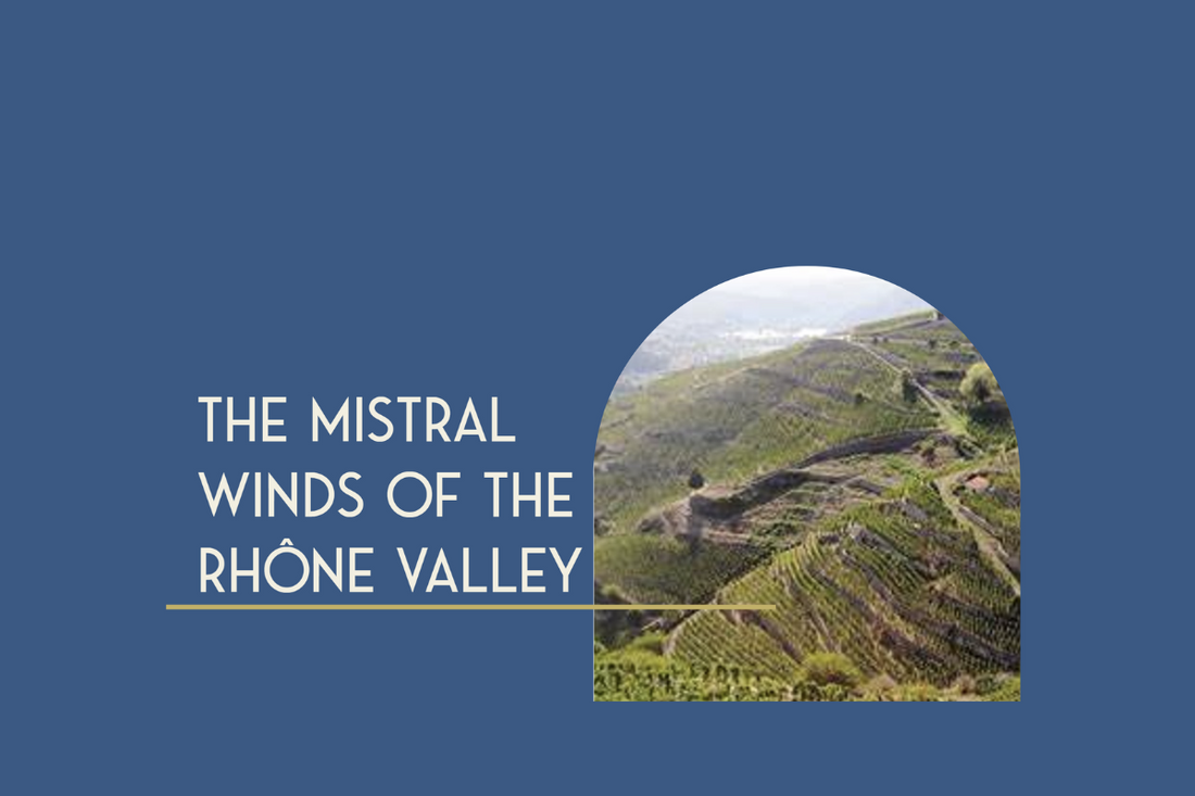 The Mistral Winds of Rhône Valley