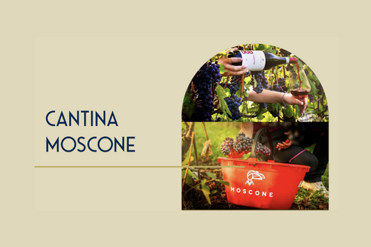 Cantina Moscone