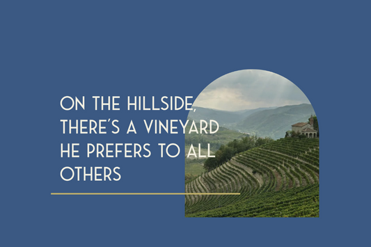 Il Falchetto – On the hillside there’s a vineyard he prefers to all others