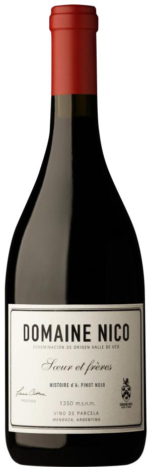 2020 Domaine Nico Histoire d'A: Pinot Noir