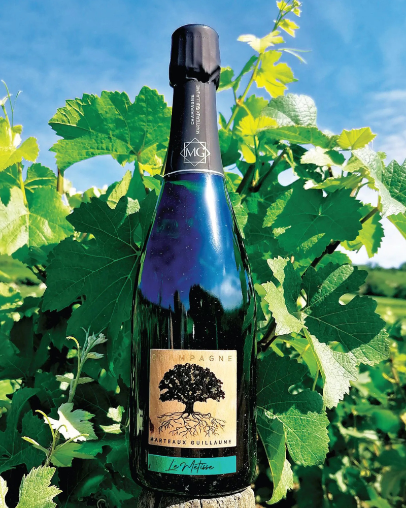Guillaume Marteaux Champagne Le Metisse Extra Brut
