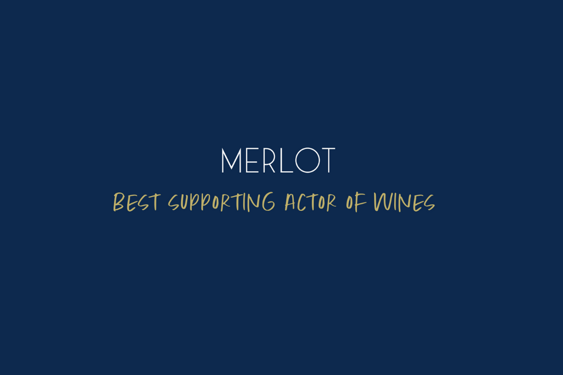 Merlot - Best Supporting Actor (of Wines)