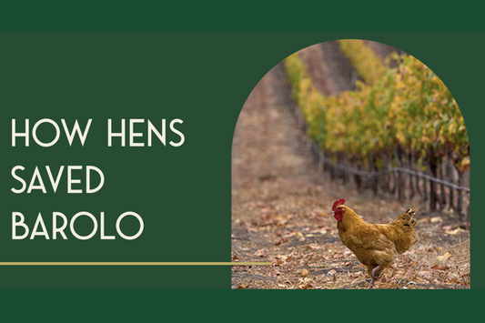 How hens saved Barolo