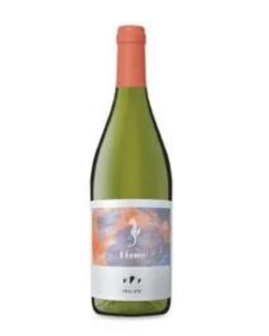 Felline Salento Fiano IGP 2021