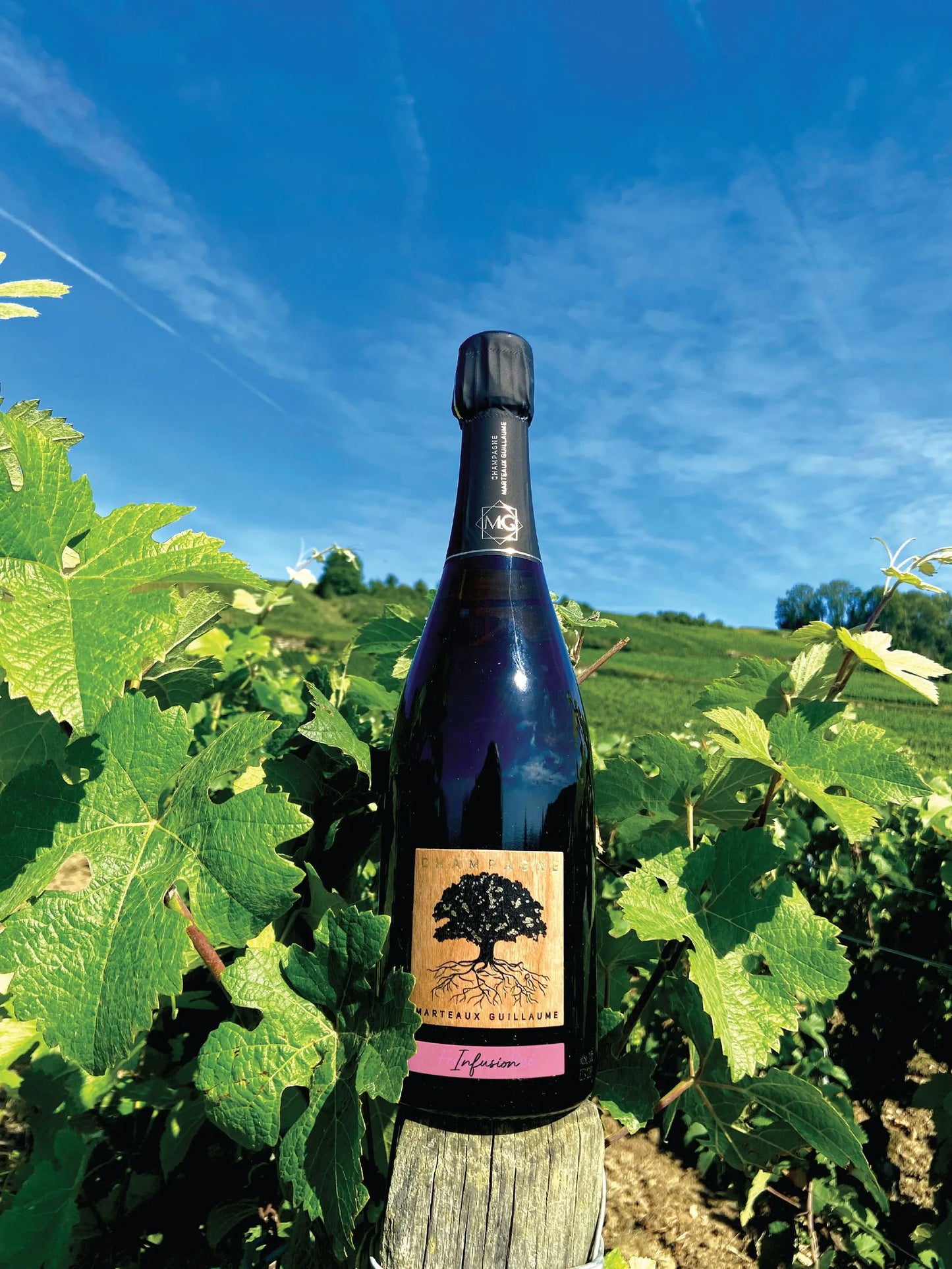 Guillaume Marteaux Champagne Infusion Brut Nature Rose