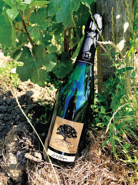 Guillaume Marteaux Champagne Le Meteque Blanc de Blanc