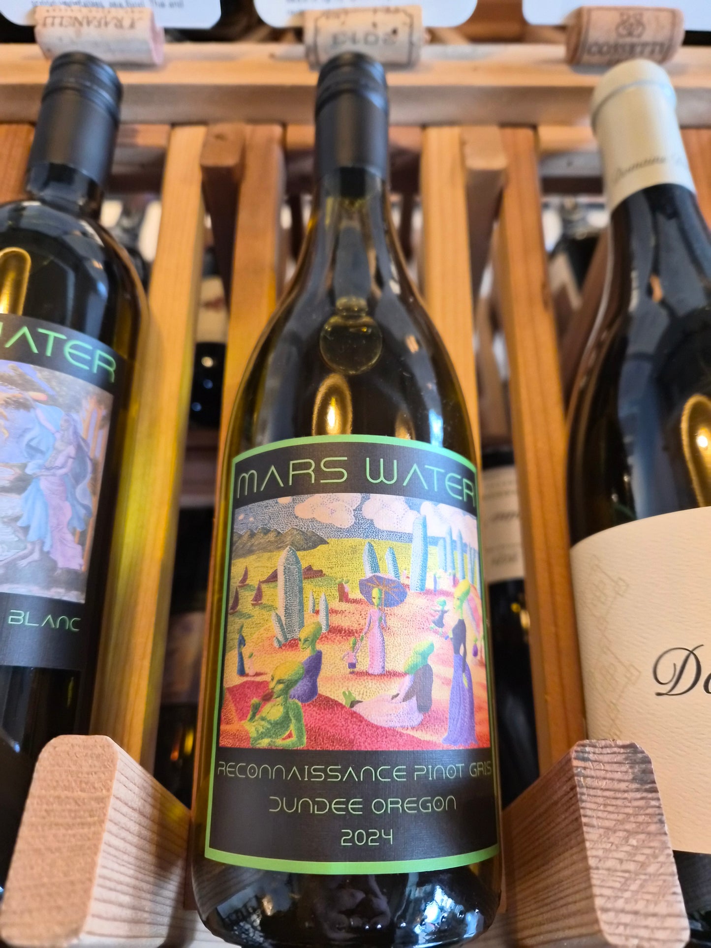 Mars Water 2024 Reconnaissance Pinot Gris