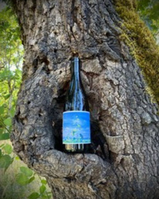 Johan Vineyards Savagnin 2021